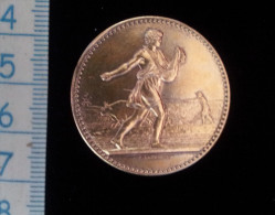 Medaille Du Comice Agricole De L'arrond. De Nevers, Pougues Les Eaux 1892, Argent Vermeil - Professionals / Firms