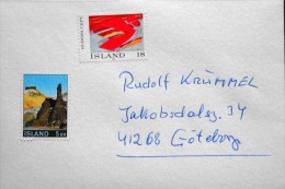 Iceland 1975   MiNr..567   ( Lot 3032 ) - Storia Postale
