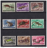 Yugoslavia 1962. FAUNA Reptiles MNH Set - Unused Stamps