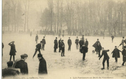 CPA( Sport Patinage A Glace) Les Patineurs Au Bois De Vincennes - Kunstschaatsen