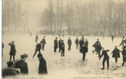 CPA( Sport Patinage A Glace) Les Patineurs Au Bois De Vincennes - Eiskunstlauf