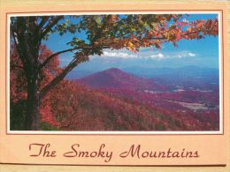 Great Smokey Mountains National Park   / Tennesee - Andere & Zonder Classificatie