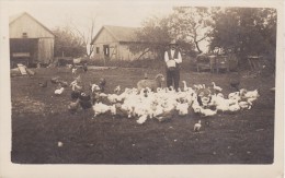 Carte Postale Photo WILMINGTON (Etats-Unis-Ohio)  Cour De FERME-Basse-cour OIE-POULE-CANARD Et Un MOUTON- - Sonstige & Ohne Zuordnung