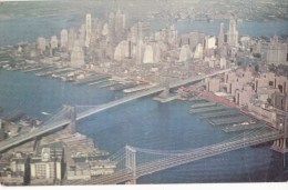 P4265 Brooklyn Bridge And Manhattan Bridge  New York City   USA Front/back Image - Manhattan