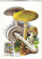 Champignons Mushrooms Amanita Phalloides Hungary 1986 Carte Maximum Card MC - Mushrooms