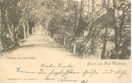 GERMANIA - HESSEN - Gruss Aus BAD NAUHEIM - Parthie Aus Dem Park 1898 - Bad Nauheim