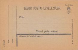 WAR FIELD POSTCARD, UNUSED, 1917, HUNGARY - Storia Postale