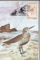 BIRDS, DUNLIN, CM, MAXICARD, CARTES MAXIMUM, 1993, ROMANIA - Cigognes & échassiers