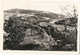 LANGEAC  Paysage Sur La Vallée De L'Allier - Neuve Excelllent état - Langeac