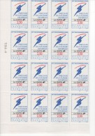 1991  -   Alberville Parcours Flamme Savoie    -   Bloc De 16 Timbres N° 2732 - Ungebraucht