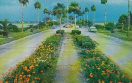 Flowerlined Causeway Connecting Clearwater With Clearwater Beach Florida - Clearwater