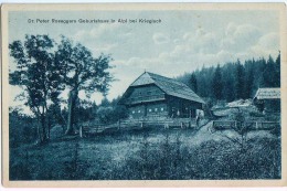 AK STEIERMARK Dr.PETER ROSEGGERS GEBURTSHAUS IN ALPI BEI KRIEGLACH OLD POSTKARTE 1934 - Krieglach