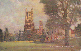 PC Ely Cathedral & Bishop's Palace - 1949 (3494) - Ely