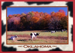 CPM   Etats-Unis   Oklahoma - Otros & Sin Clasificación