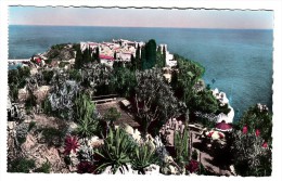 Monaco - Le Jardin Exotique - Au Fond Le Rocher De Monaco - Editeur: SEPT N° 1.76A - Exotischer Garten
