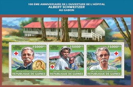 Guinea. 2013 Albert Schweitzer. (601a) - Albert Schweitzer