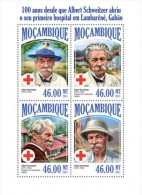 Mozambique. 2013 Albert Schweitzer. (503a) - Albert Schweitzer