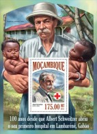 Mozambique. 2013 Albert Schweitzer. (503b) - Albert Schweitzer