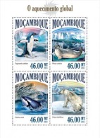 Mozambique. 2013 Global Warming. (513a) - Dolphins