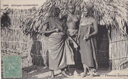 Afrique - Sénégal Guinée - Tribu Femmes Peulhes - Nu - Cachet Diorodgurou 1908 Loulay Charentes Maritime - Senegal