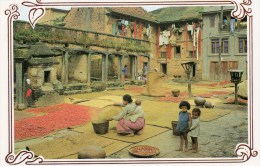 NEPAL. - The Multi - Purpose Newari Courtyard - Photographs: Sridhar Manandhar - Scan Verso - - Népal