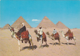 AFRIQUE,AFRICA,égypte,egypt,pyramide,pyramid Of GIZA,GIZEH,SPHINX,caravan E,chameau,arab Camelriders,cavalier, - Gizeh