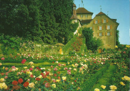 Gelfingen - Schloss Heidegg, Rosengarten         Ca. 1970 - Gelfingen