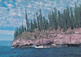 NOUVELLE CALEDONIE,NEW CALEDONIA,souveraineté Française,océan Pacifique,PLAGE,MARE,MER AGITEE,PHOTO LABOUTE - Nouvelle Calédonie