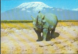 RHINO AGAINST MOUNT KILIMANJARO 30.12.1986 - Rhinocéros