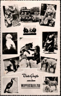 ! Ansichtskarte 1959 Wuppertal Zoo , Tiger, Eisbär, Bären, Elefant, Elephant, Tierpark - Orsi