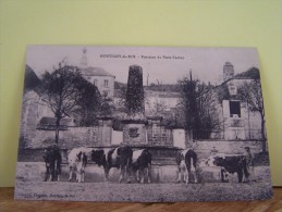 MONTIGNY-LE-ROI (HAUTE MARNE) VAL DE MEUSE. LES VACHES. FONTAINE DU PUITS-VACHOT - Montigny Le Roi