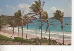 Cpsm Des Barbades N°Dc3 South Coast Beach - Barbados (Barbuda)