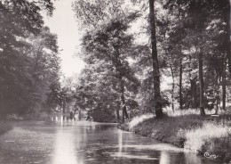 BRETIGNY Sur ORGE - Une Vue Sur L' Orge - Bretigny Sur Orge