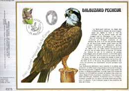 Feuillet Tirage Limité CEF 472 Oiseau Rapace Balbuzard Pêcheur - Cartas & Documentos