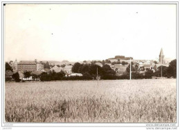 CARLSBOURG ..-- Apiculture !!   Voir Verso . 1965 Vers MOGIMONT ( Mr René KUNE ) . Frère Mélèce !! - Paliseul