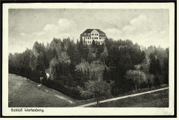Schloß Wartenberg -  Ansichtskarte Ca.1925   (3097) - Tuttlingen