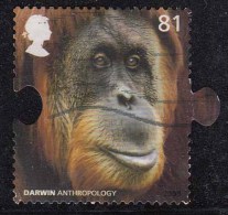 81p Used, Great Britain, Darwin Anthropology, Chimpanzees, Animal, 2009, - Scimpanzé