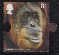 81p Used, Great Britain, Darwin Anthropology, Chimpanzees, Animal, 2009, - Chimpanzés
