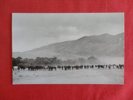 RPPC  - Wyoming >  Wolf-- Eaton's Ranch   Not Mailed   Ref 1305 - Altri & Non Classificati