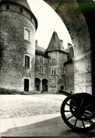 CPSM Château De Virieu   L1606 - Virieu