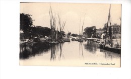 BF8998 Mahmoudieh Canal Ship  Alexandria Egypt  Front/back Image - Alexandria