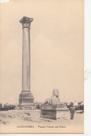 BF8964 Pompey Column And Sphinx   Egypt Alexandria Front/back Image - Alejandría