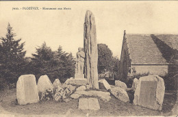 PLOZEVET  MONUMENT AUX MORTS - Plozevet