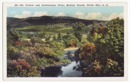 USA, BRETTON WOODS, WHITE MOUNTAINS NH, Mt CLINTON AND AMMONOOSUC RIVER ~ C1920s SCENIC Unused Vintage Postcard - White Mountains