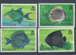 140012134  MONTSERRAT  YVERT  Nº  382/5  **/MNH - Montserrat