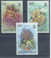 140012135  MONTSERRAT  YVERT  Nº  411/3  **/MNH - Montserrat