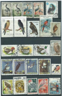 Oiseaux 24 Timbres Differents - Collezioni & Lotti