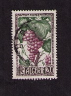 Timbre Oblitéré Algérie, Productions Algériennes, Raisin, 20 F, 1950 - Used Stamps