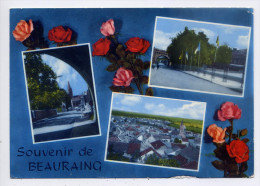 Belgique--BEAURAING--1966--Souvenir De Beauraing --Multivues, Roses--cpm éd De Mario--cachet Et Flamme Postales - Beauraing