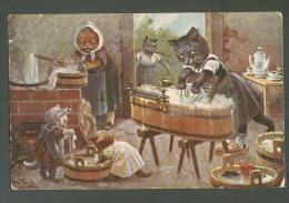 CAT  CATS  WASHDAY  , SIGNED  THIELE  ,  OLD POSTCARD, 0 - Thiele, Arthur